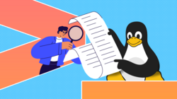 penguin holding a paper and a man scrutinizing the document using magnifying glass