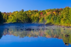 Trees and lake in Autumn