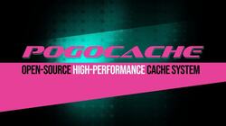 Pogocache