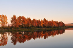 Autumn trees reflected in water
