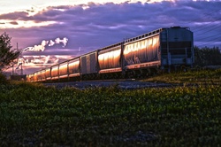 Train cars shining in the morning sun.