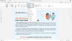 ONLYOFFICE Docs 9.1 PDF Editor