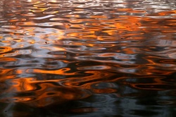 Water waves light reflections lake sea red sunlight movement element nature liquid liquid sunset