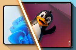 windows and linux symbol