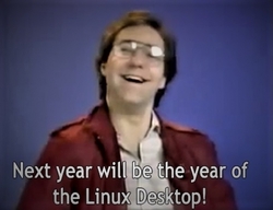 year of Linux on the desktop