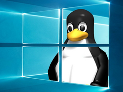 Linux