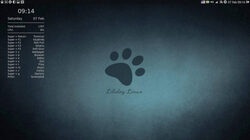 The Lilidog Linux desktop features Conky atop the Openbox window manager