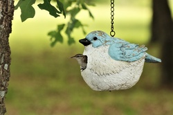 A cute little Carolina wren is peeking out the hole of a bird house.