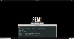 REMnux 8