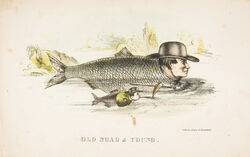 The Comic Natural History of the Human Race (1851)