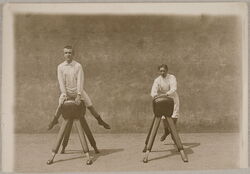 Turners on the pommel horse