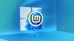windows logo and linux mint logo