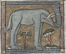 Der Naturen Bloeme: The Flower of Nature (ca. 1350)