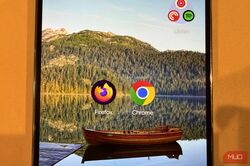 firefox and chrome logos