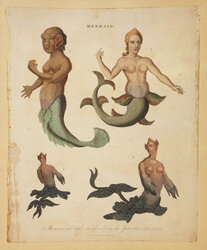 Mermaids Exhibited Successively in the Years 1758, 1775, alt=