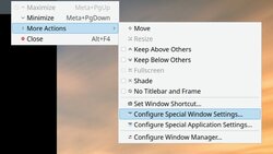 Right click on the window bar of the program you want to manage. Click Configure Special Window Settings