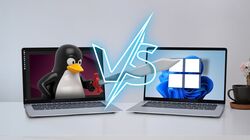 Penguin holding sword fighting against Windows