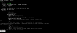 terminal