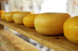 Cheese On Shelf