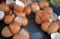 Broken egg shells