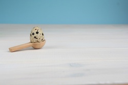 Quail eggs - composition Easter