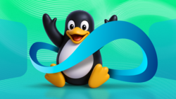 jubilant penguin