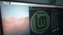 Linux mint