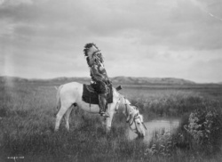 Historical Indian American Chief
