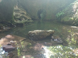 Calming measures still water