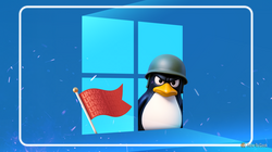 angry penguin wearing combat helment coming out from Windows