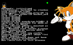 Linux for Sega Genesis
