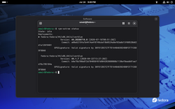RPM running on konsole