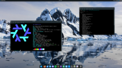 NixOS