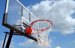 Basketball net and rim