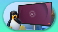 Penguin yawning