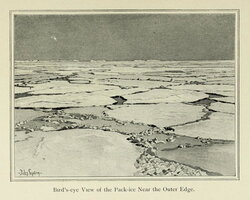 Pack-Ice Near the Outer Edge