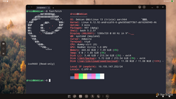 Debian