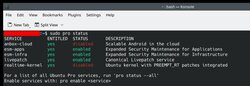 Kernel livepatching, too. Not bad. Ten years of this stuff, free. Unmatched